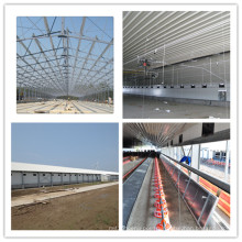 Full Set Poultry Equipment for Broiler